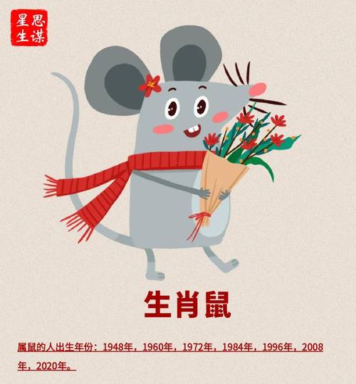 鼠边今期必出准确生肖,今期生肖鼠有望是什么动物
