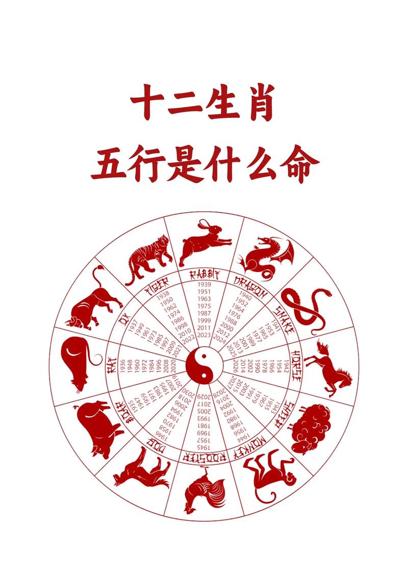 属什么生肖的人命最好,属什么的人命最好性格好