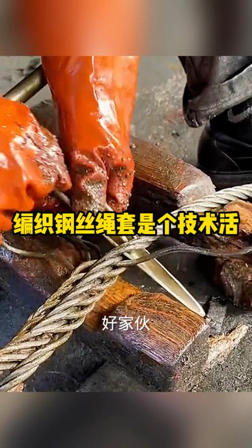 活里带刺打一生肖,活里活套是什么意思