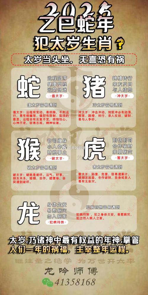 今期生肖定龙蛇的意思,它国风情今再现,今期生肖定龙蛇