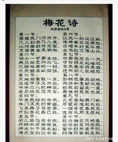 梅花诗打一生肖是什么,梅花诗代表什么数字生肖