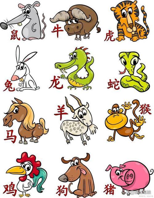 关于“明日黄花”是代表哪个生肖的信息