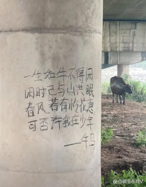 夜里林中一哨兵打一生肖马,林中一哨兵夜里好像两盏灯是指什么动物