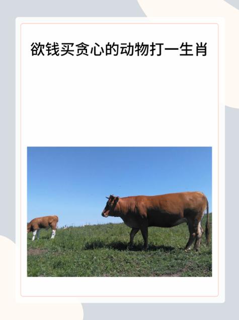 关于“一一隐藏一二擦，生性风流挥霍财”打一生肖是什么的信息