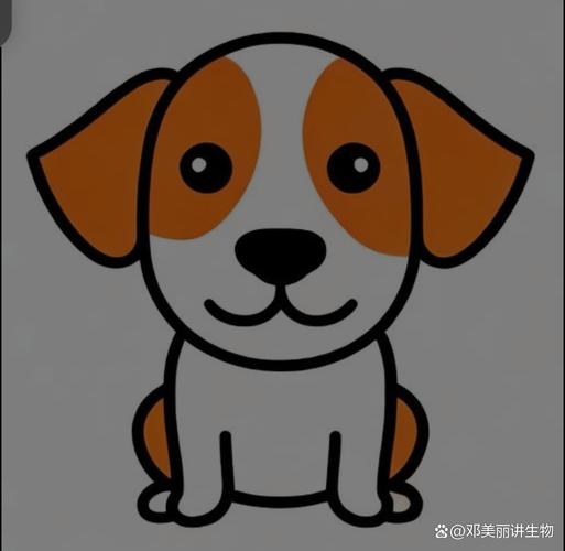今期生肖是木头一生肖,今期生肖有木头是什么动物