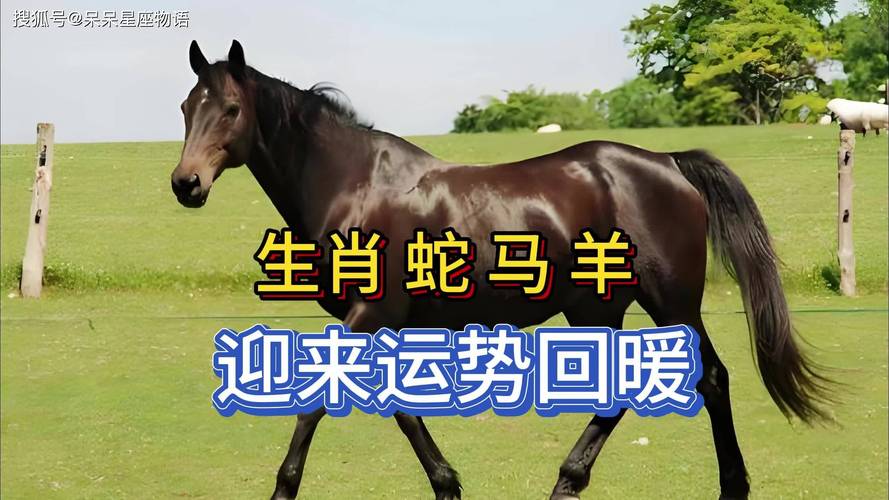 今期特马开蛇羊指什么生肖的简单介绍