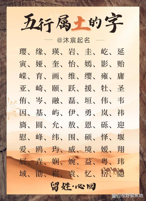 今期生肖土中找是指什么,今期生肖土字头是什么意思