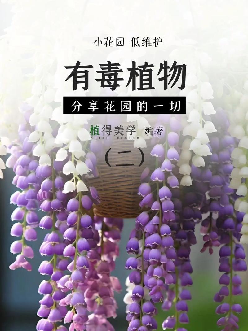 狠毒打一生肖,狠毒是什么植物有什么用