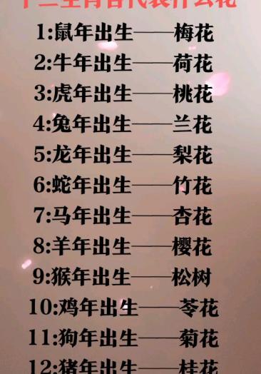 菊花是打一生肖,菊花打一生肖和数字