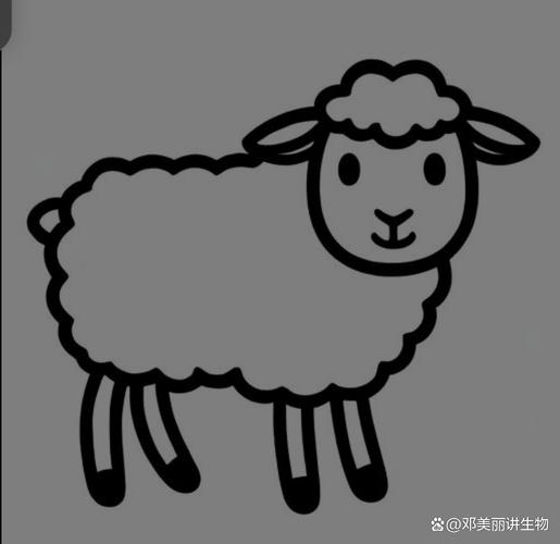 什么生肖开金花是什么生肖的简单介绍