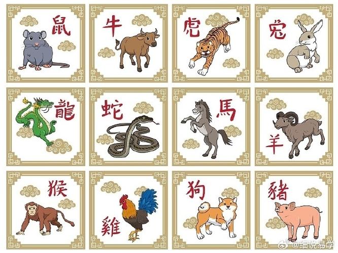 今期生肖是什么头色的生肖动物,今期生肖是什么头色的生肖动物呢