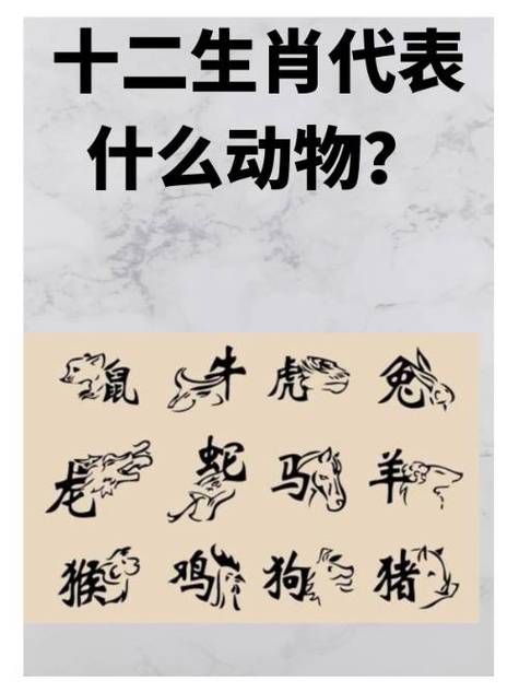 今期生肖最好找的生肖是什么动物,今期生肖最好找的生肖是什么动物呢