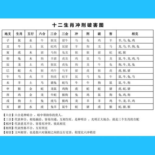 一九相合在今期是什么生肖二四的简单介绍