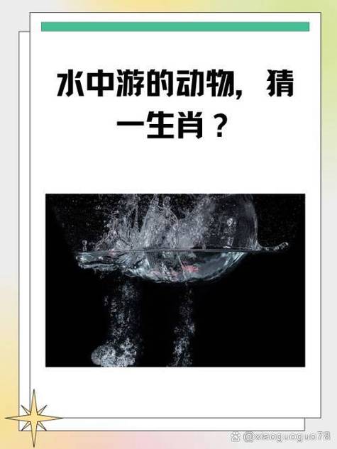 水的老脑筋是什么生肖动物,水的老脑筋是什么生肖动物呢