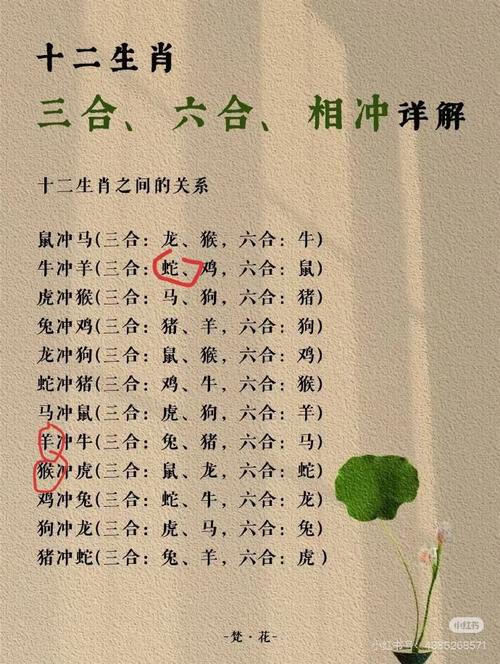 今期生肖不动摇代表什么生肖,今期生肖不动摇代表什么生肖动物