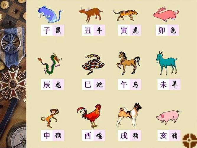 今期动物排第六是什么生肖,今期生肖排第一是指什么生肖