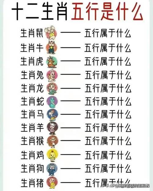 打一生肖蹦蹦跳跳,蹦蹦跳跳的生肖正确答案