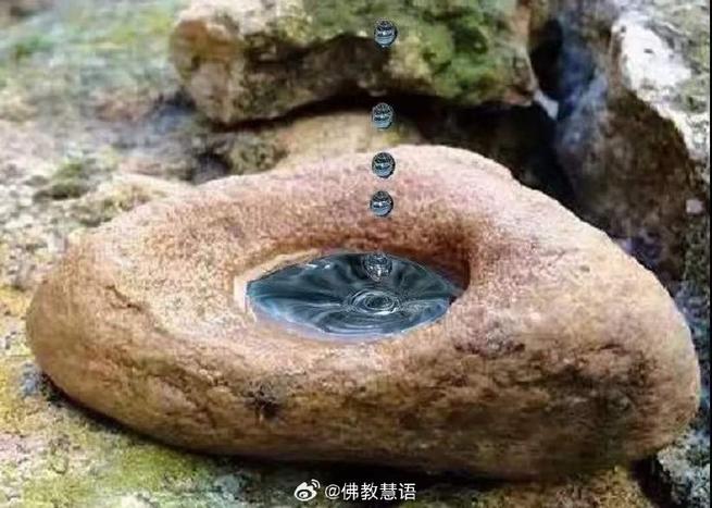 滴水穿石打一生肖是什么,滴水穿石打一生肖是什么生肖