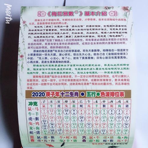 今期特马转开单正确答案,今期特马开本期代表什么动物