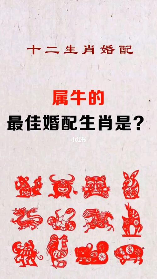 1994年属什么生肖婚配牛,1994年属什么生肖婚配语音