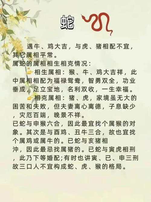 今期生肖二四开天生一对成伴侣,今期生肖二四开天生一对成伴侣是什么生肖