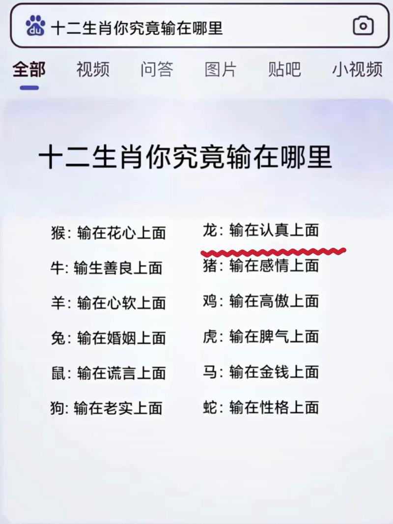 等打一生肖最佳答案,打一生肖最佳答案今天