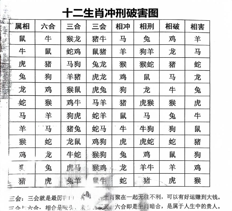 今期生肖二九定,今期生肖二九定牛兔相刑利害生是什么生肖