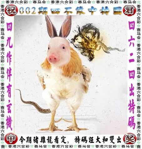今期生肖九字开是什么意思?,今期生肖九字头兔来本期看四九猜生肖