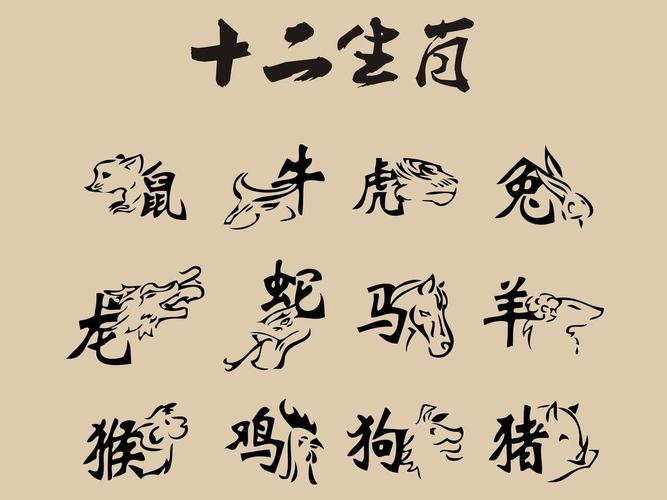 今期开什么生肖动物视频,今期开什么生肖动物视频2o19
