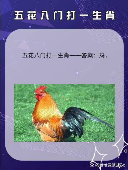 令字打一生肖最佳答案是什么的简单介绍