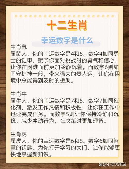 今期生肖懂得你是什么意思,今期生肖最简单代表什么数字