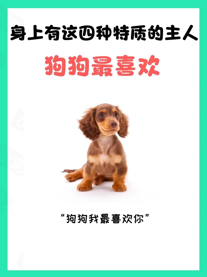 属狗最讨厌什么生肖,属狗人讨厌一个人的表现