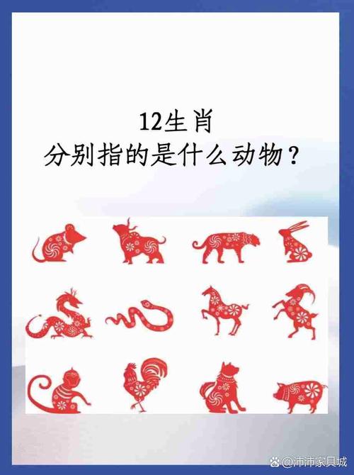 今期生肖最时髦是什么动物,今期生肖最出名是什么生肖?