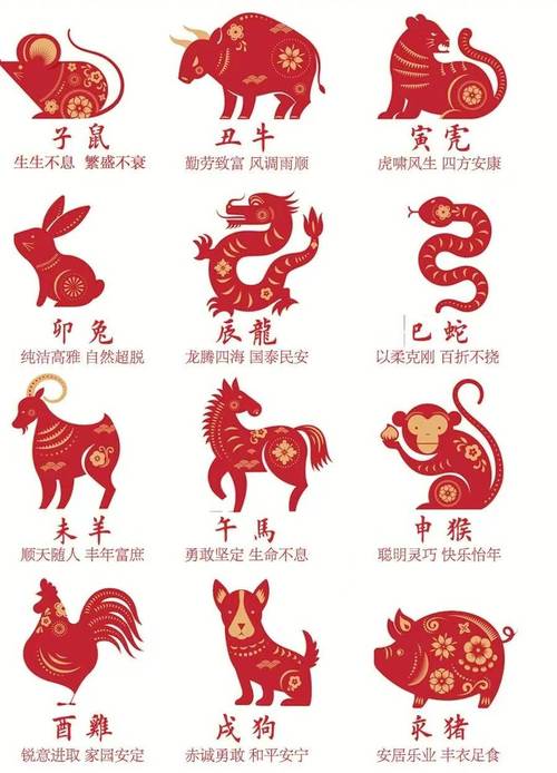 三四定开在今期打一肖,三四定期来开特是什么生肖动物