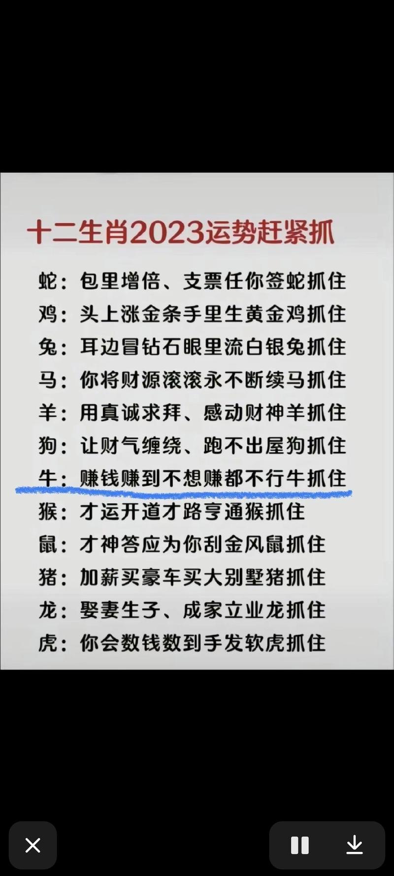 今期生肖土中金最佳答案,今期生肖土在头指什么生肖