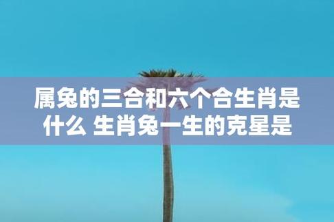 属兔跟什么生肖最配对婚姻,属兔跟什么生肖最配对婚姻好