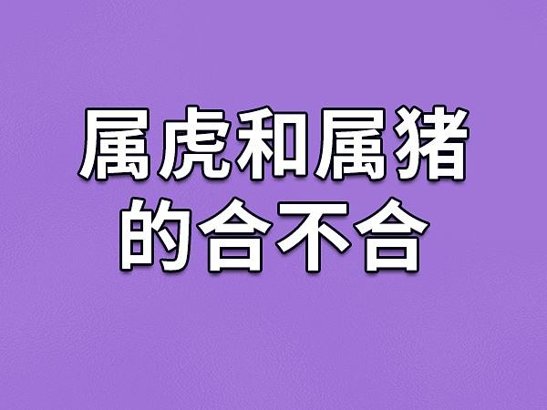 猪虎生什么生肖的孩子,猪虎夫妻生什么属相孩子好