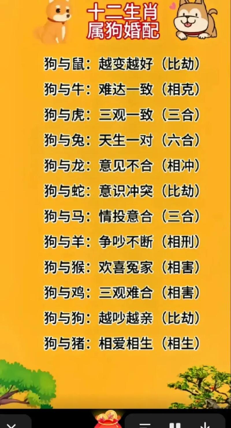 “相形见绌”是什么生肖,相形见绌是什么生肖动物最佳