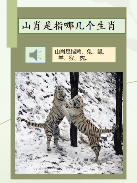 今期生肖住山洞猜生肖,今期生肖居山中是什么生肖