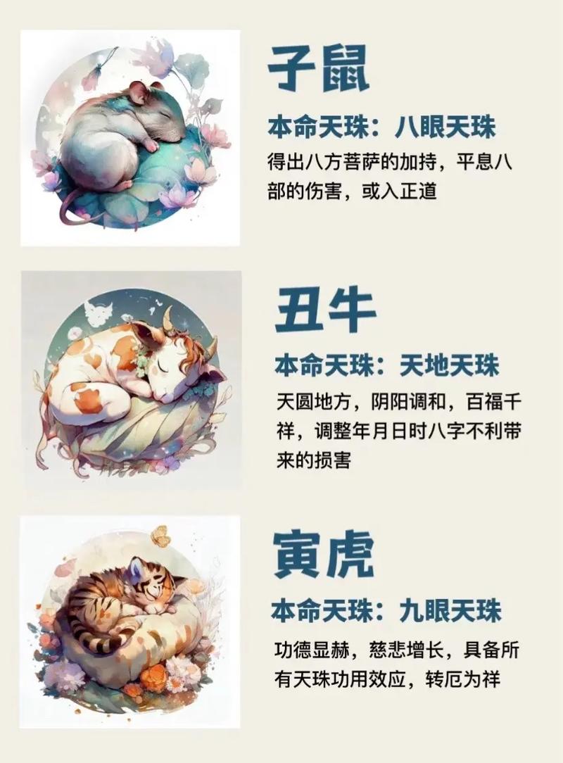 今期生肖天神力什么生肖动物的简单介绍