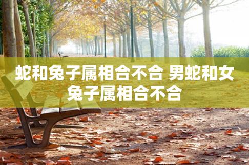 什么生肖旺蛇和兔,什么生肖旺蛇和兔相配
