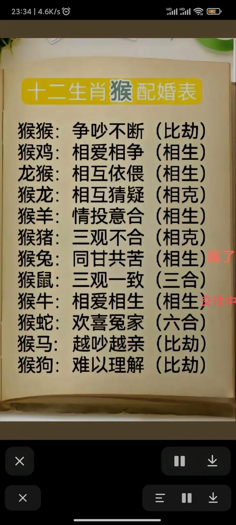 “二一还能与九伴”打一动物生肖,二一有缘今相见,二九相合不相分猜