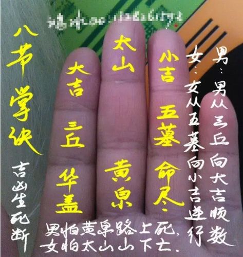 今期看好三七数打一正确答案,本期看好三七数猜一生肖!三一相逢五掌杯
