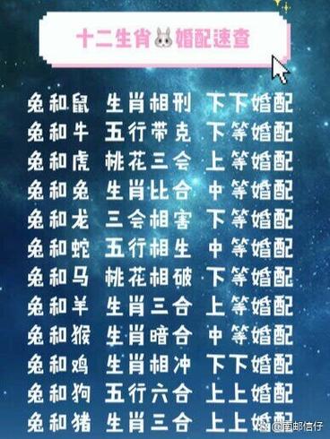 什么生肖冲兔和羊,兔和什么生肖最配羊