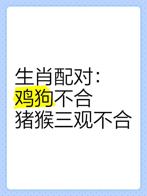今期得到鸡犬升是指什么生肖,今期生肖不过卯,鸡犬不宁龙鼠逃打一生肖