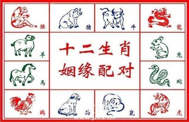 只是红颜多命苦打一生肖是什么的简单介绍