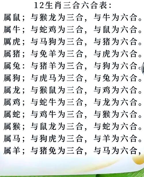 合数定今期是什么生肖,合数定在四一中是什么生肖