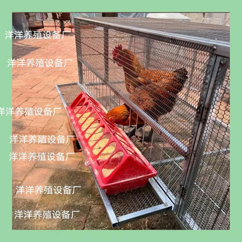 自制母鸡下蛋滚蛋笼,自制母鸡下蛋滚蛋笼怎么做