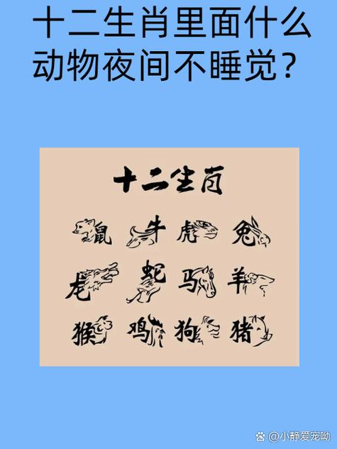 期期生肖堵在前是什么动物,期期生肖堵在前是什么动物生肖