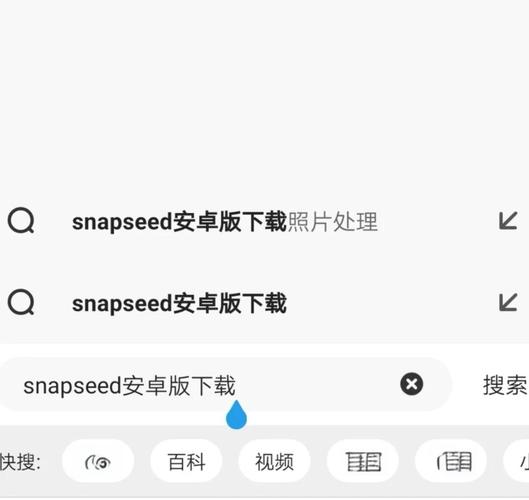 snap下载,Snap下载安卓版连接